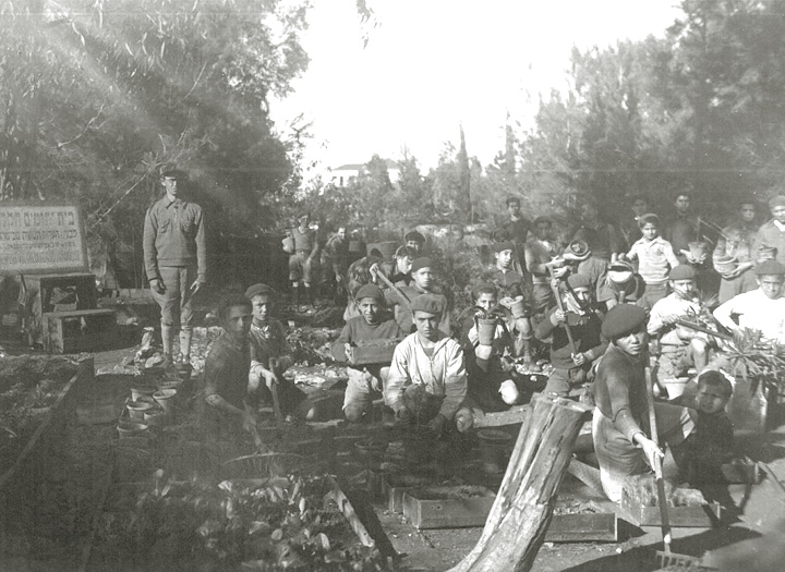 The Zion boys learning farming and agriculture in Motza, a town near Jerusalem. 