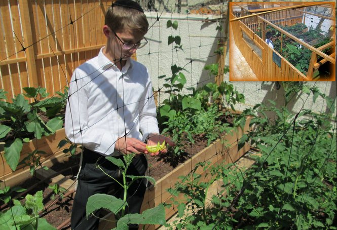 As part of the new agriculture program the Zion high school age boys build their own on-campu...