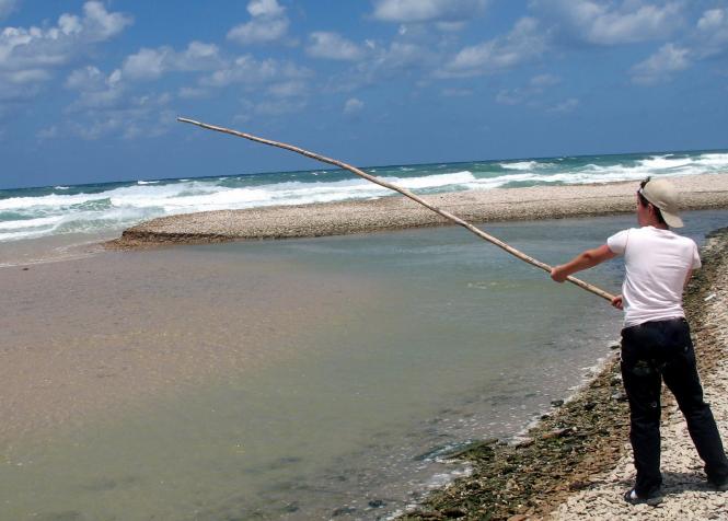 For many people it is a bit too cold here in the Israeli Mediterranean Sea for a good swi...