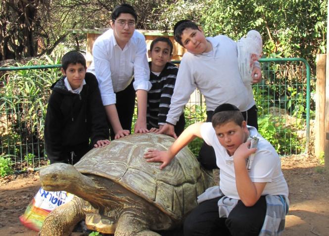 Jerusalem's more than 80 year old Biblical Zoo, today, is a major attraction for tens of thousand...