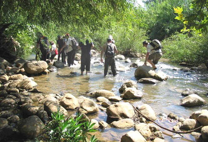 Our annual Summer Camp features hiking in the fresh-water streams of the Golan Heights. Th...